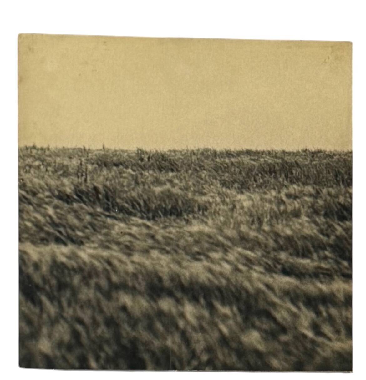 Gerry Hunt (1927 - 2023), set of 5 photographs mounted on wooden panels, United Kingdom 1977