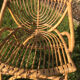 4 vintage rattan chairs 1950