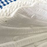 Italica ars shell salad bowl