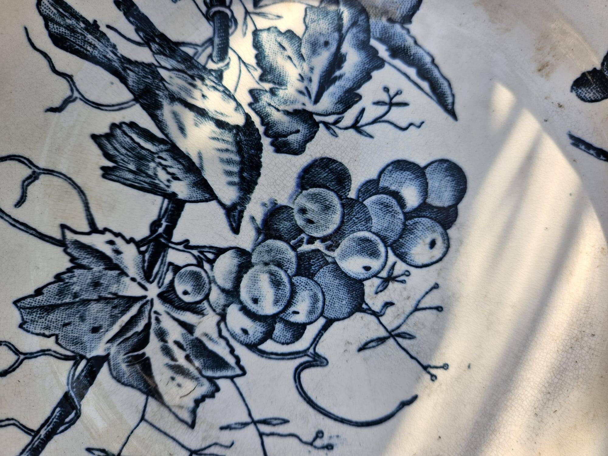 Antique 19th century plate, Terre de Fuego, blue with bird motif