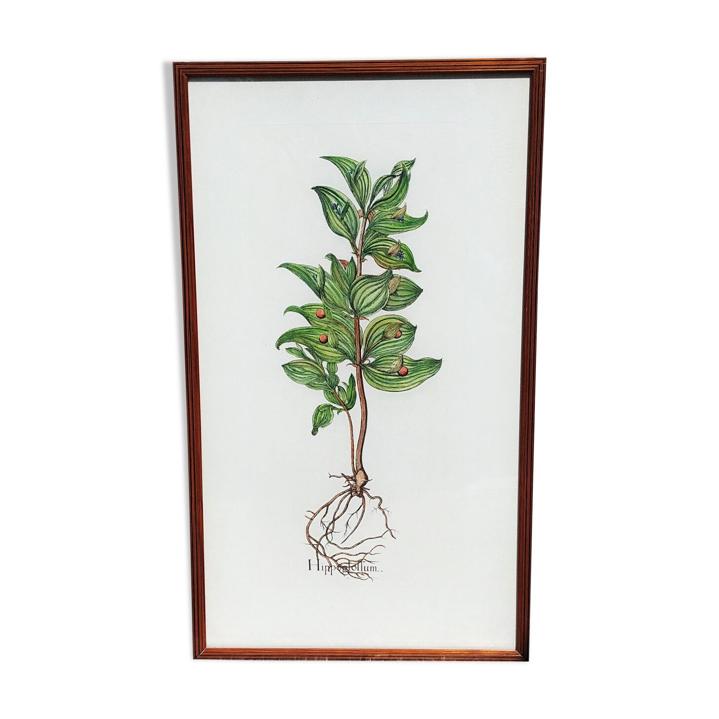 Botanical board