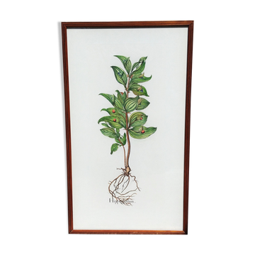 Botanical board