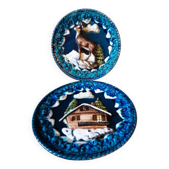 Set of 2 decorative majolica-style plates