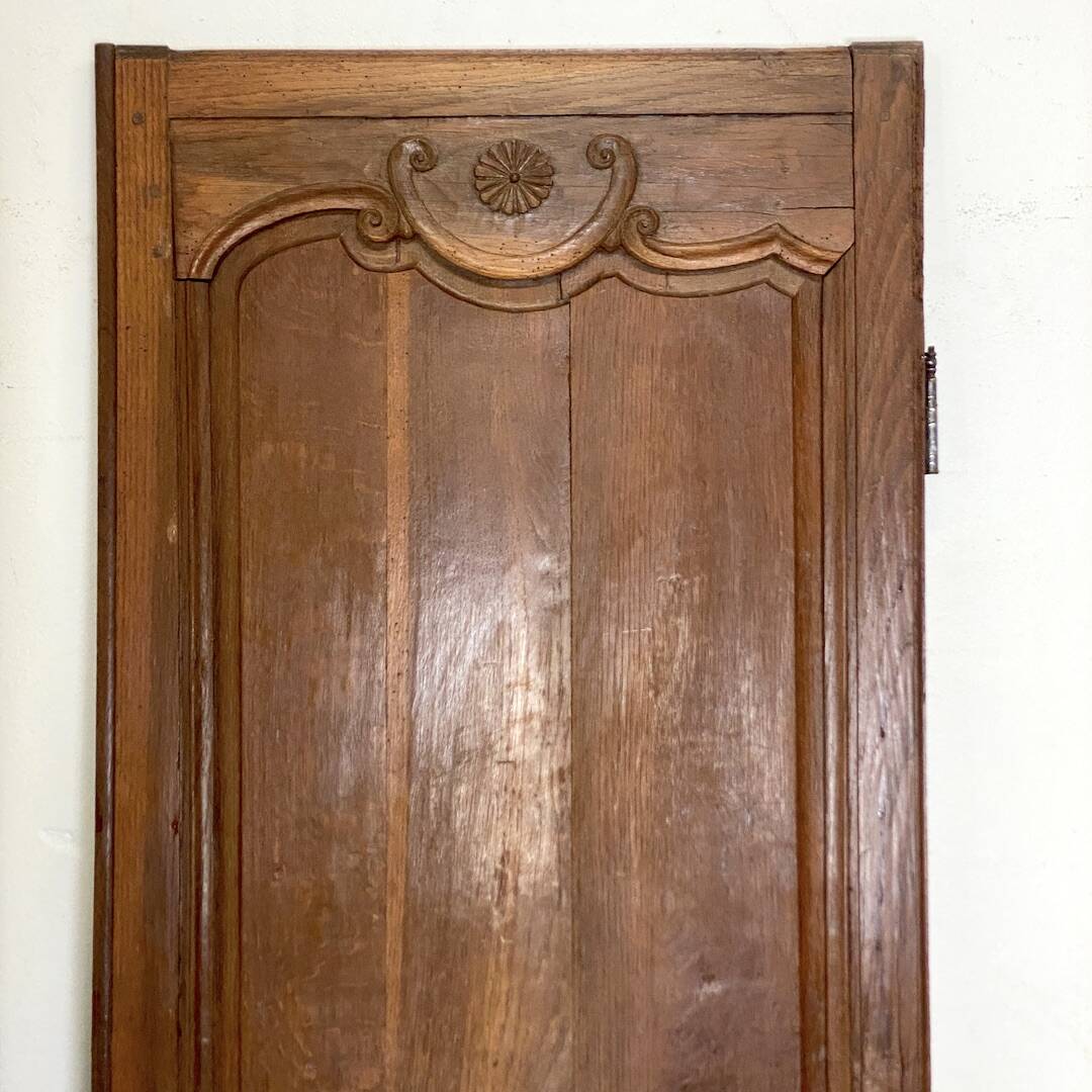 Pair of 19th century oak cabinet doors