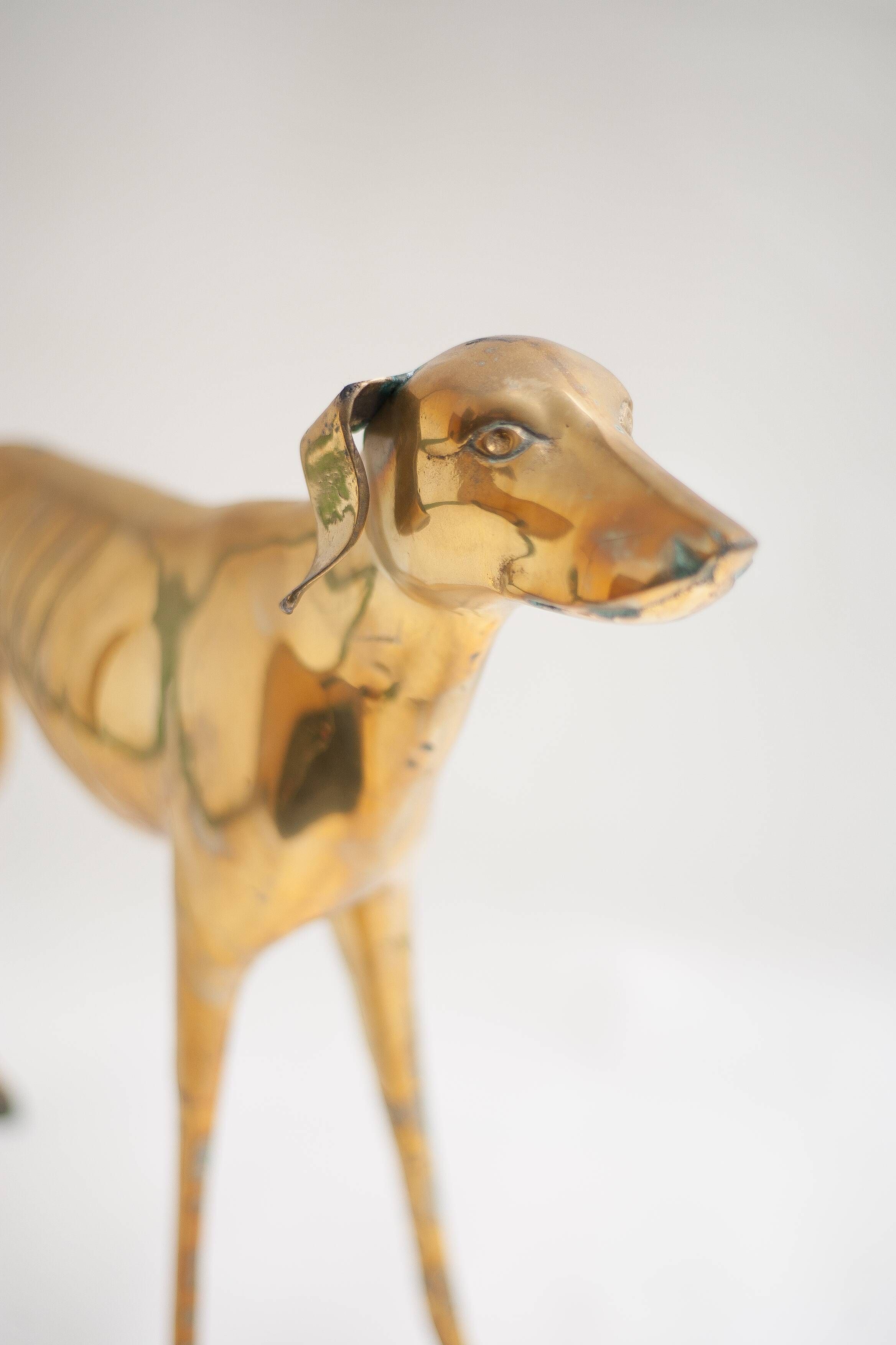 Brass dog