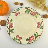 Rare plate decorated with cerises manufacture de Longwy