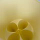 Stool "Bubu" Philippe starck XO