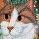 Plateau R2S artiste Sylvia Huber Gaensslen - 3 chats