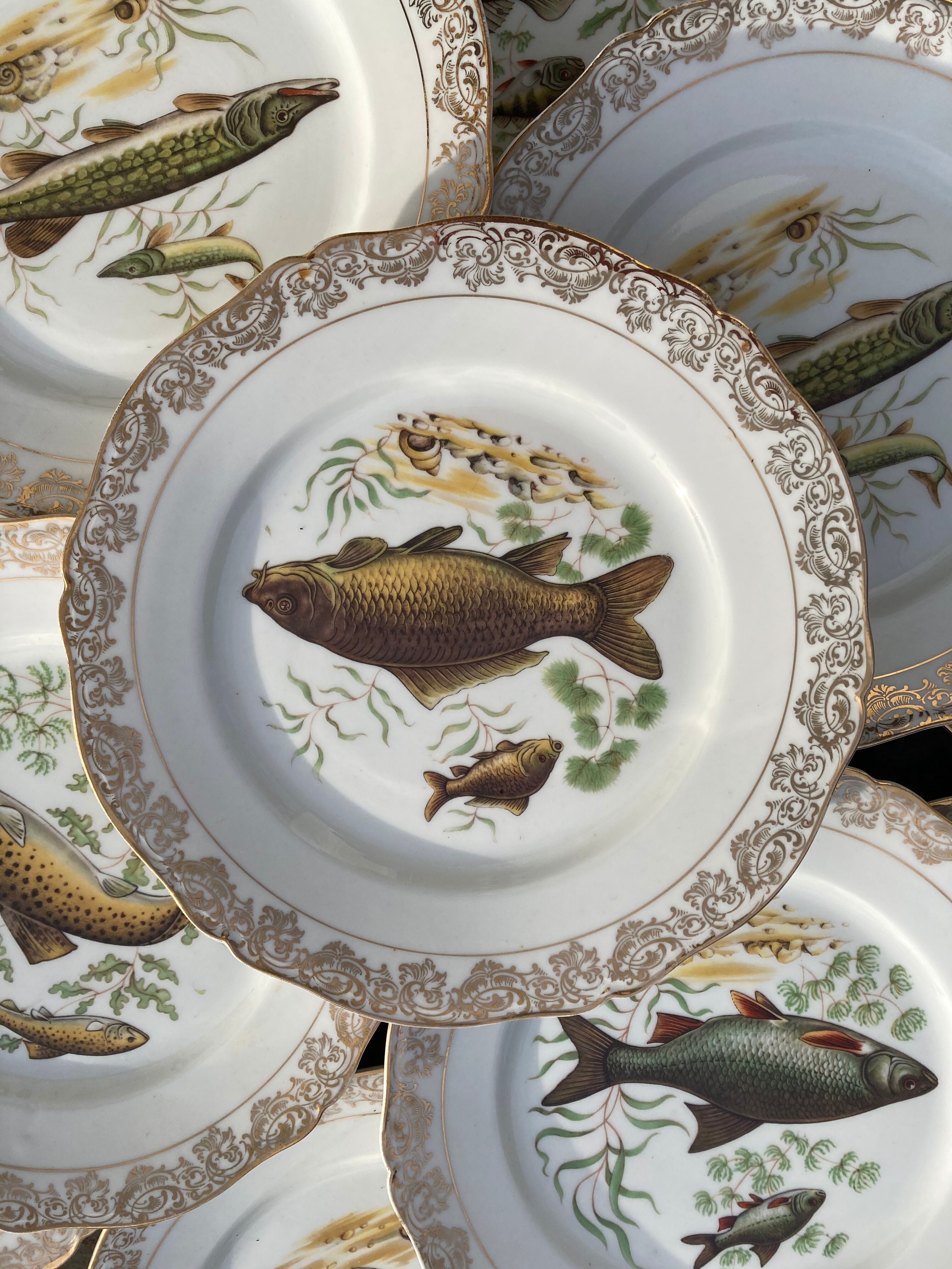 11 vintage Limoges porcelain fish plates