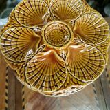 12 ancient shell plates in sarreguemines