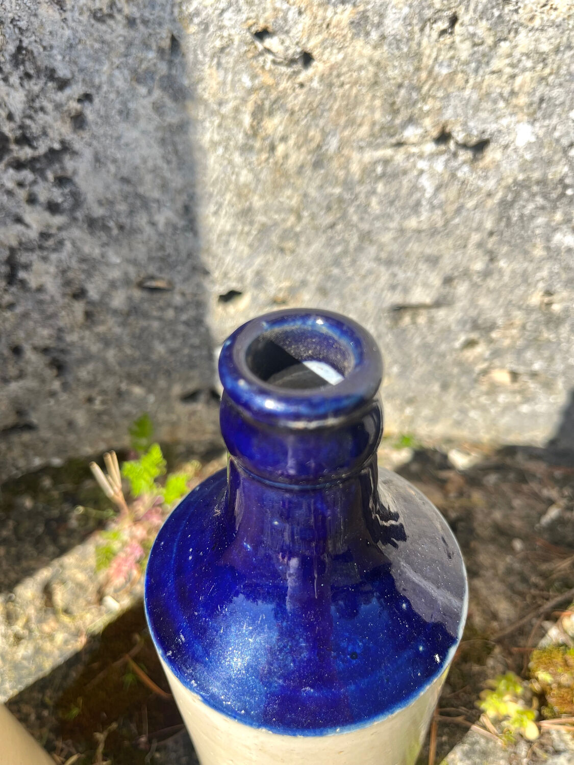 French stoneware grapefruit sparkling drink bottles