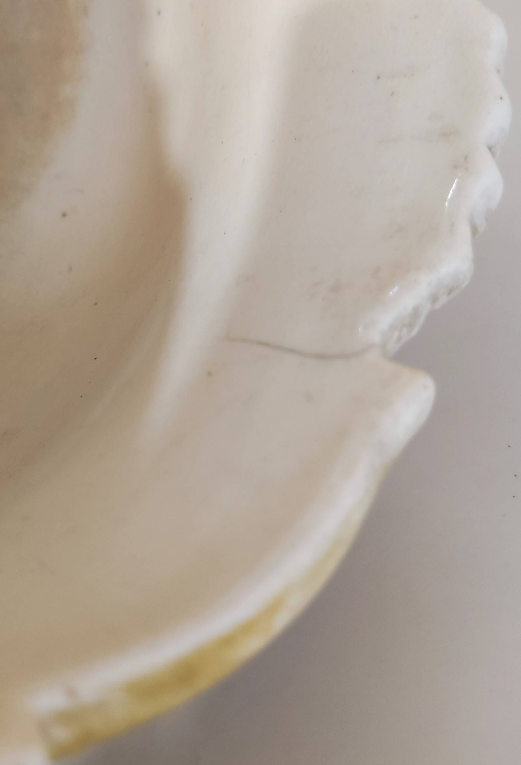 Slip planter, Gustave de Bruyn, Fives Lille