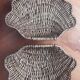 Vintage rattan shell box basket from the 1980s