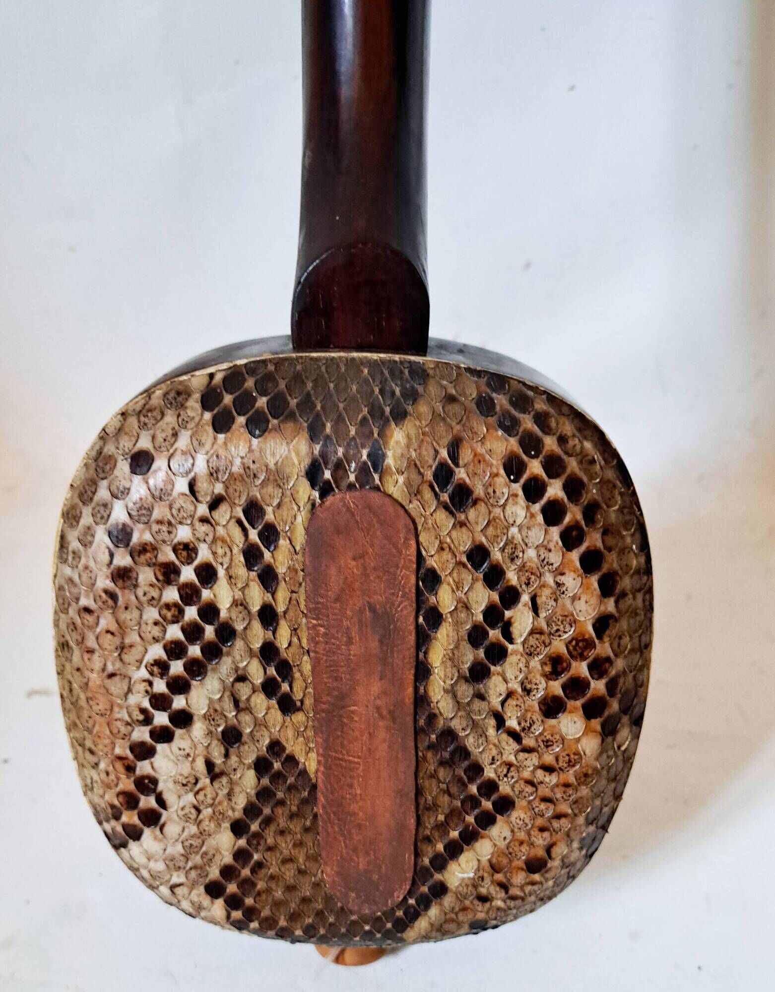 Okinawa shamisen sanshi traditional japanese instrument