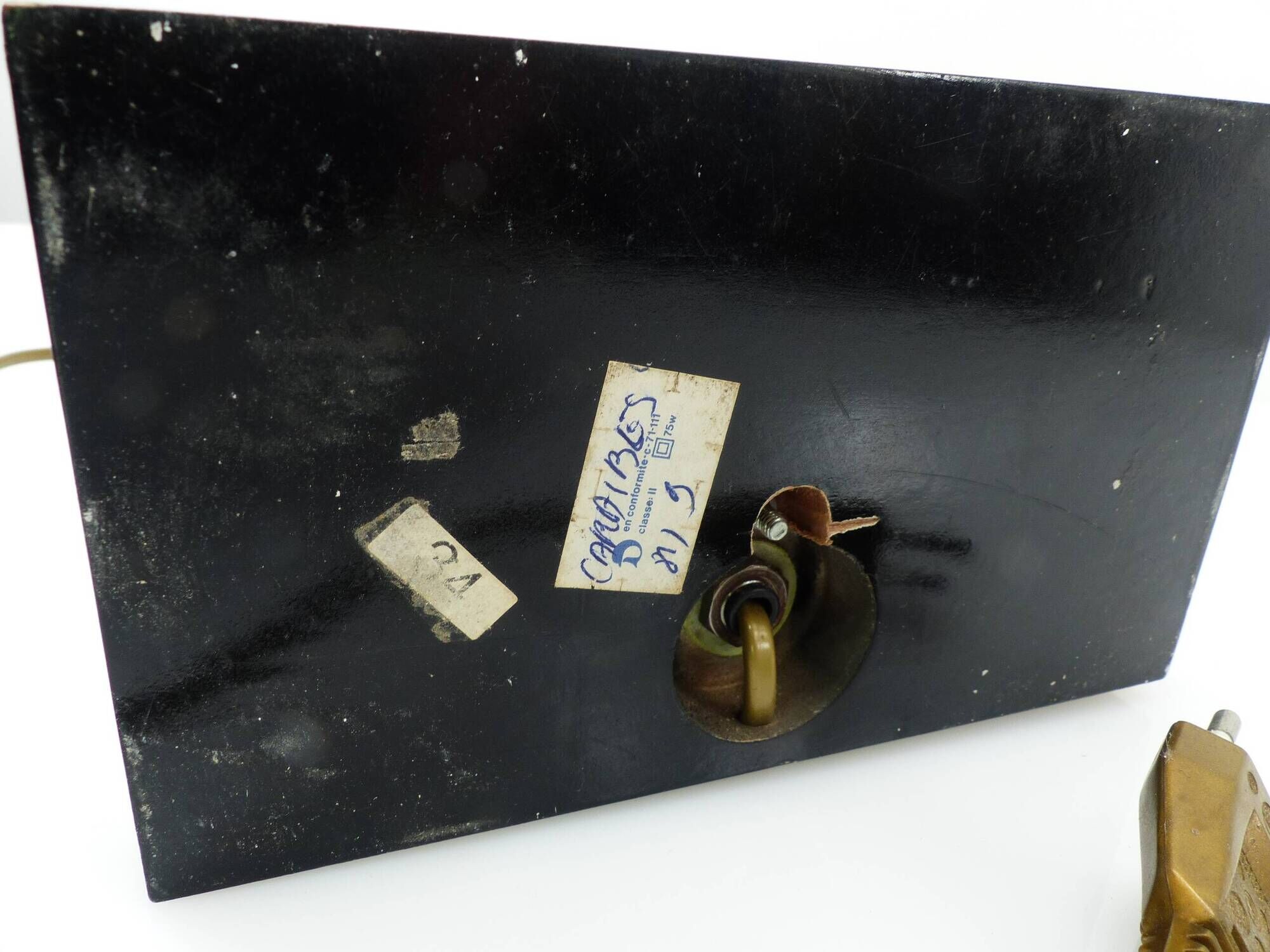 Maison Le Dauphin – “Caraïbes” lamp with gorgonia inclusion 1970-1980