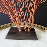 Red Gorgon Wooden Base. H: 34 cm