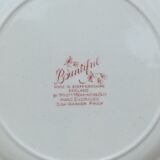 12 English plates Stanffordshire model "Bountiful"