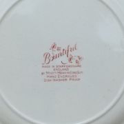 12 assiettes anglaises Stanffordshire modèle "Bountiful"
