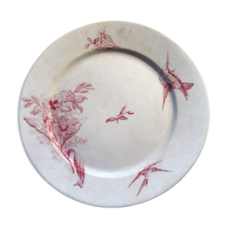 Assiette aux orchidées roses et oiseau en vol production pexonne