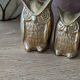Owls in vintage brass trio