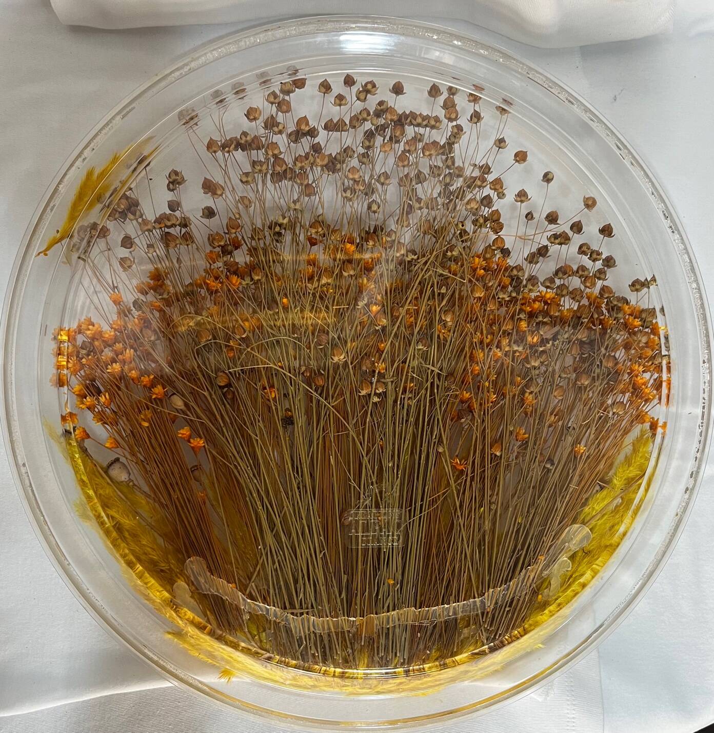 Plateau en plexiglas avec inclusions