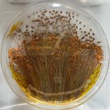 Plateau en plexiglas avec inclusions