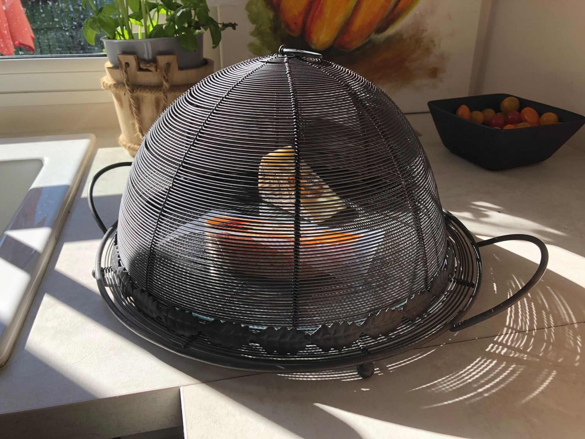 Grilled bell cheese tray