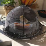 Grilled bell cheese tray