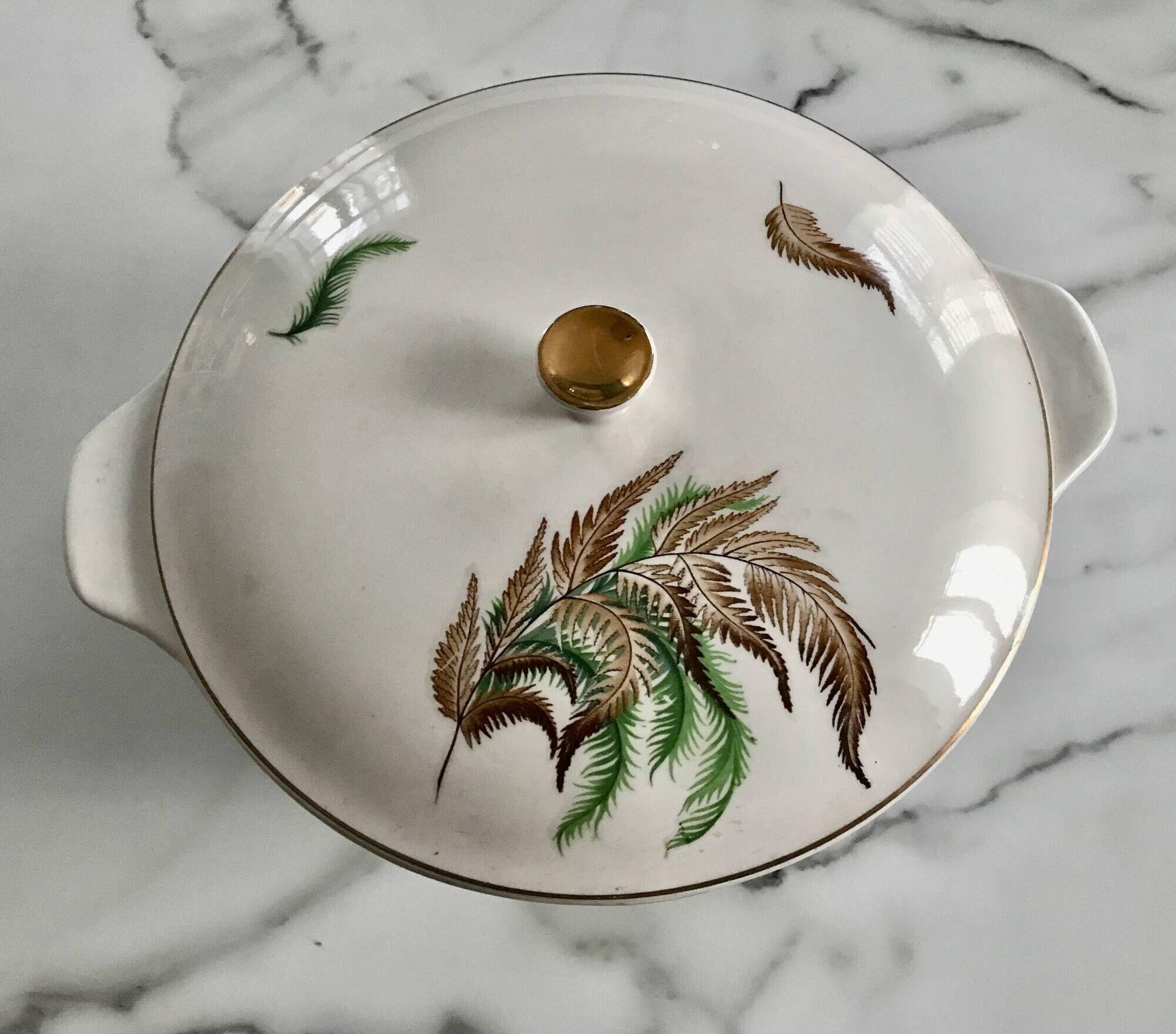 Very pretty vintage Digoin Sarreguemines fern soup tureen