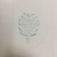 6 flat plates Villeroy and Boch flowers and gold