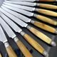 Cheese dessert knives - stainless steel silver-plated bovine horn - art deco cutlery