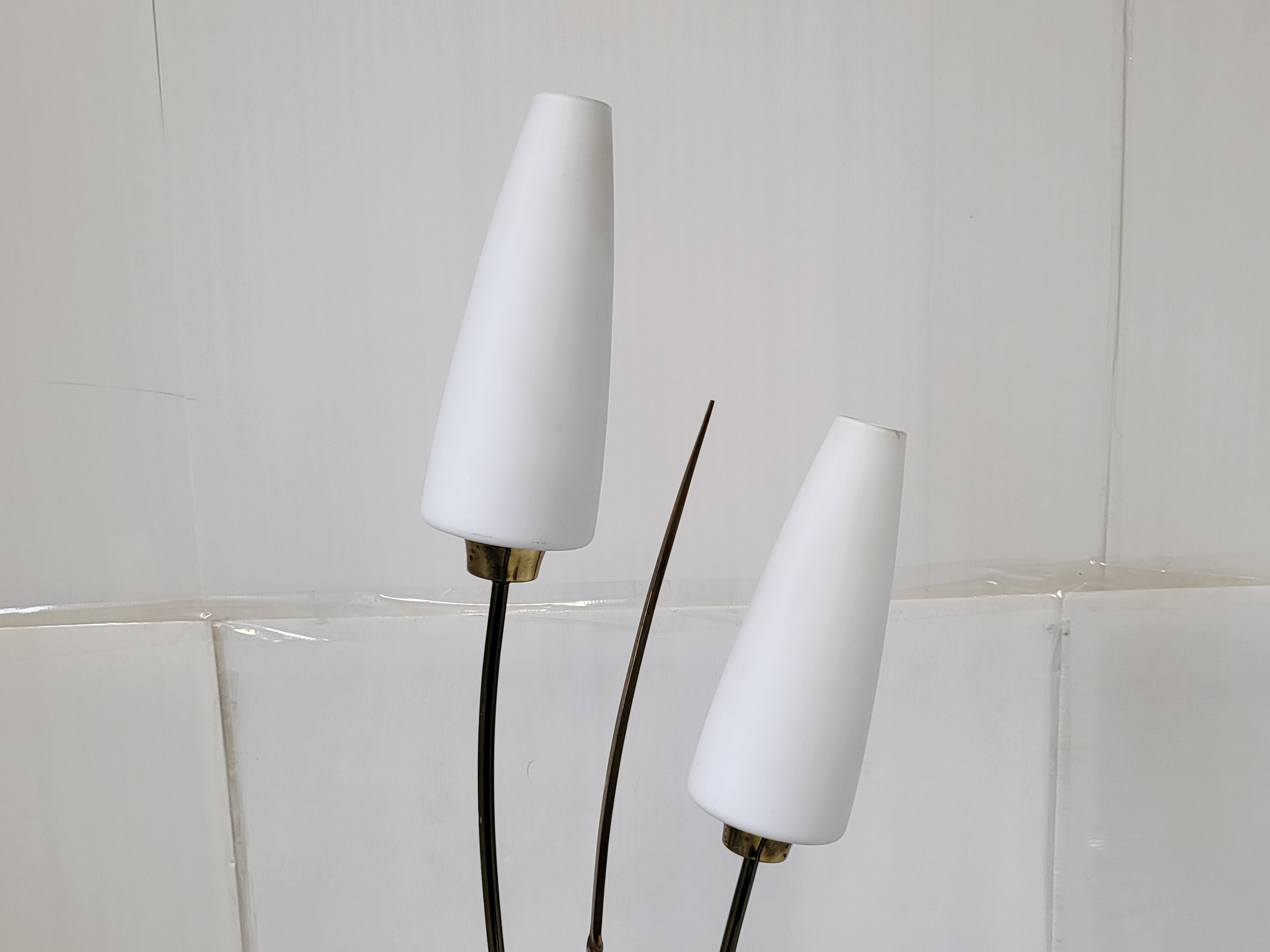 Arlus 1950 vintage floor lamp