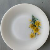 Lot of 5 plates and their empty dish