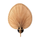 Palm Leaf Sconce