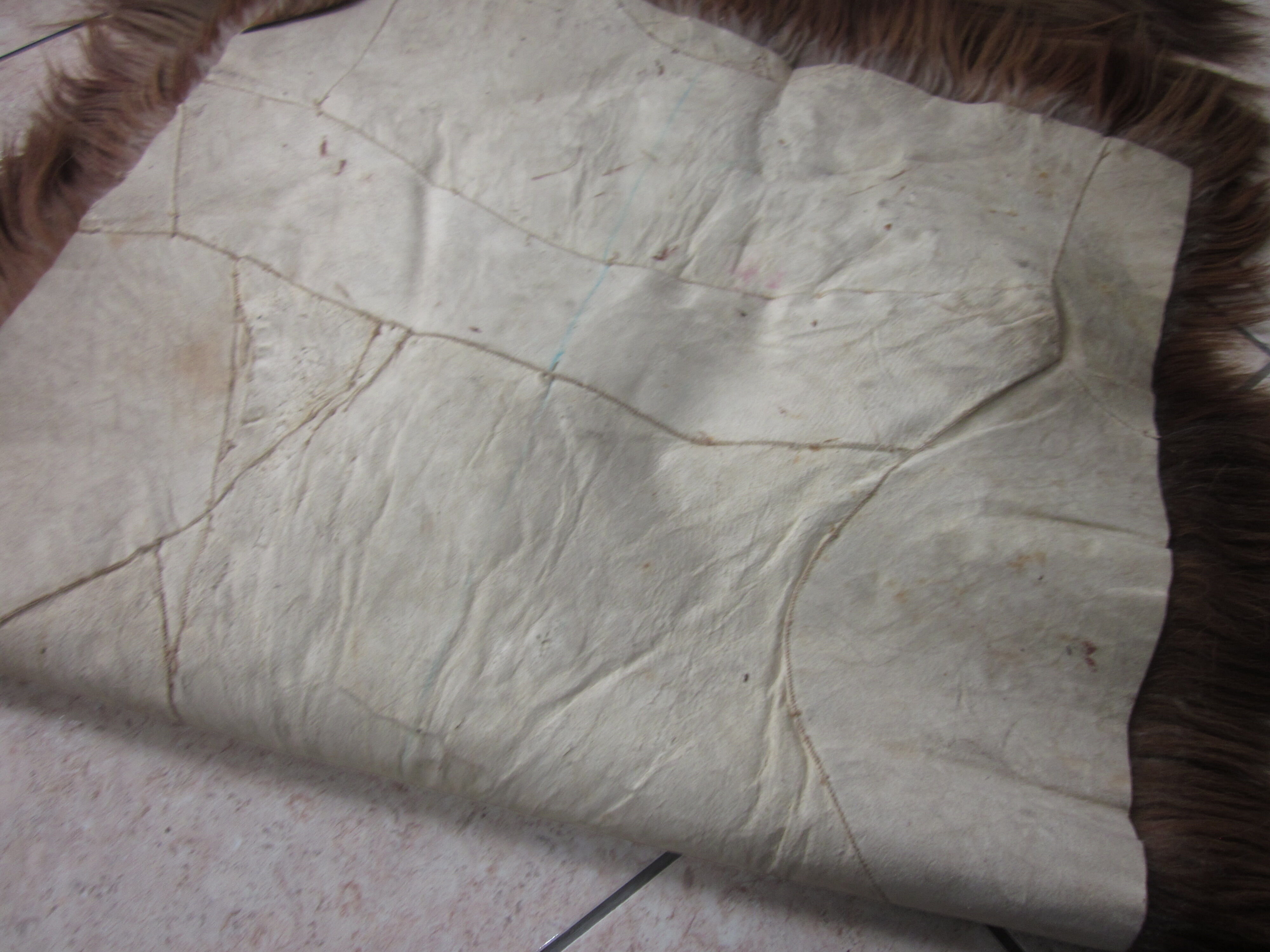 Long-haired haired hairskin carpet