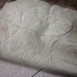 Long-haired haired hairskin carpet