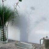 Silver-plated duck foie gras dish