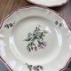 Set de 10 assiettes fleuries Sarreguemines Lyon