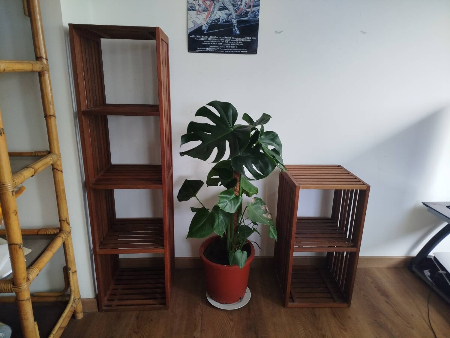 Lovely pair of vintage teak shelves, 1970s
