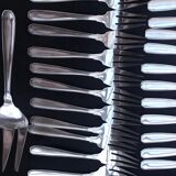 Fish cutlery