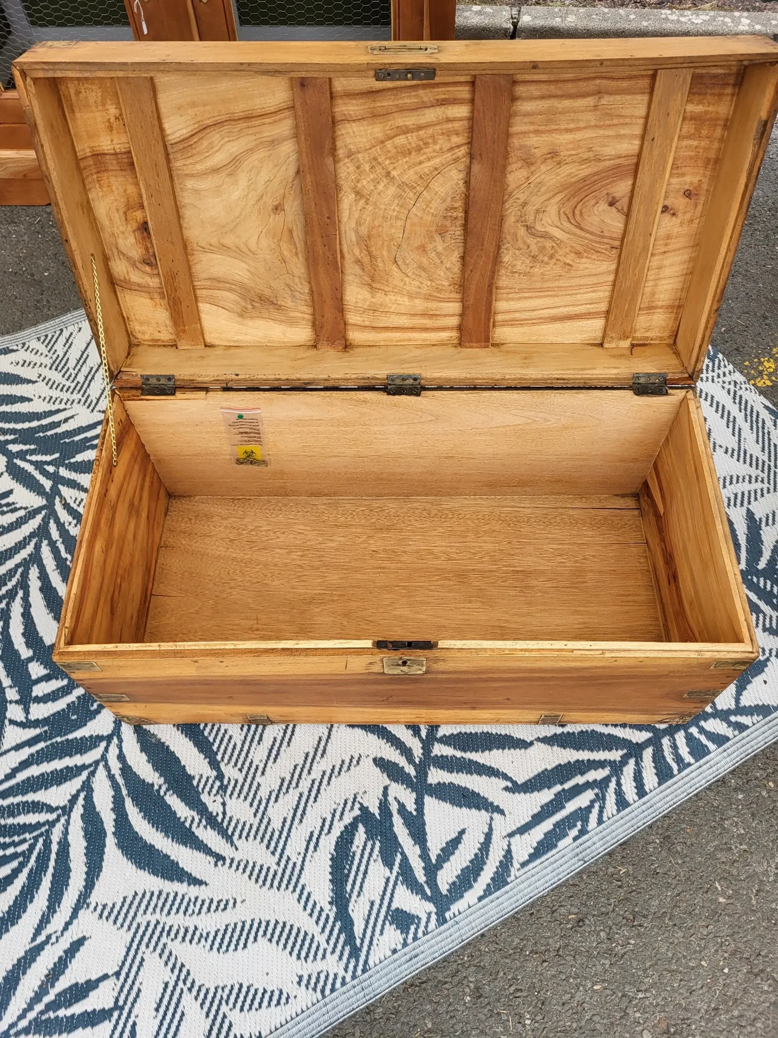 Old camphor wood trunk