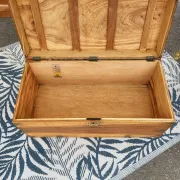 Old camphor wood trunk