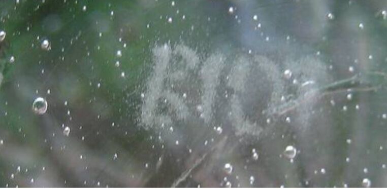 Bubble glass soliflore vase signed Biot 1960-1970