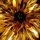 Wall sconce Venini crystal sun with golden structure