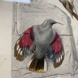 Lot 4 ornithological boards