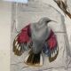 Lot 4 ornithological boards