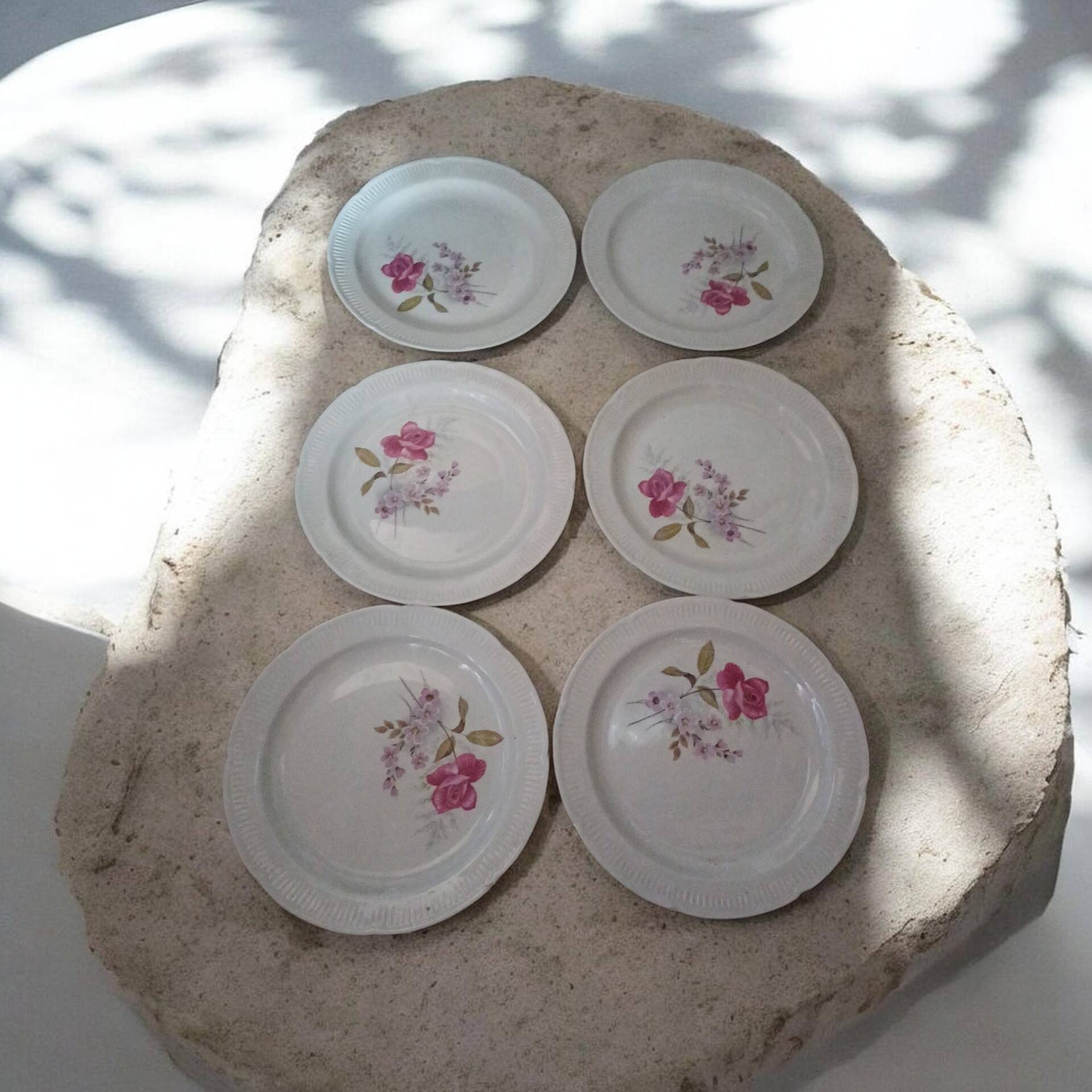 Set of 6 antique flat plates in porcelain from Vierzon - Decor f