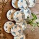 Set of 10 antique flat plates in ironstone, Royat from Sarreguemines.