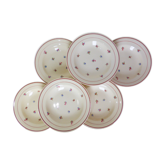 6 hollow porcelain plates of salins