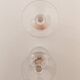 2 champagne flutes